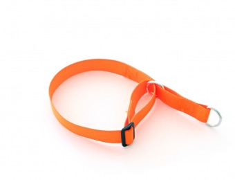 Orange-jakthalsband-for-hundar.png-1600x1067-web4